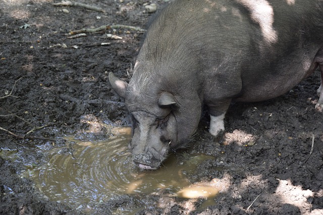 人们常常问 人们常常问