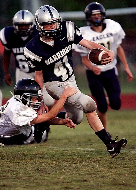 的視角下 的視角下