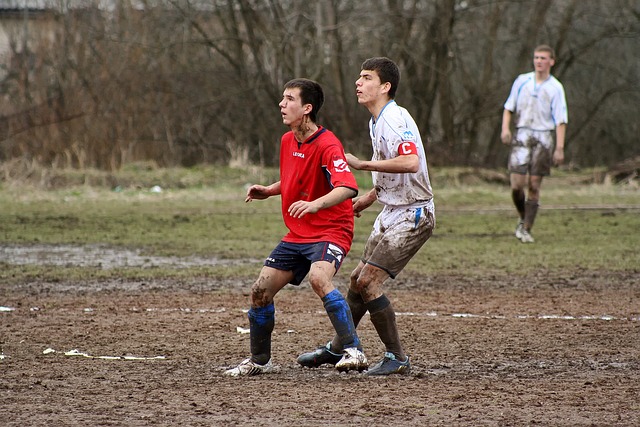 政府的谈判 政府的谈判