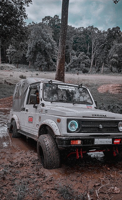 结合的活动 结合的活动